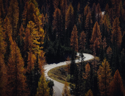 Von Drais, die Fahrradmarke von Fahrradhändlern